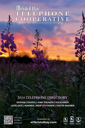 The Bristol Bay Directory - Book Cover